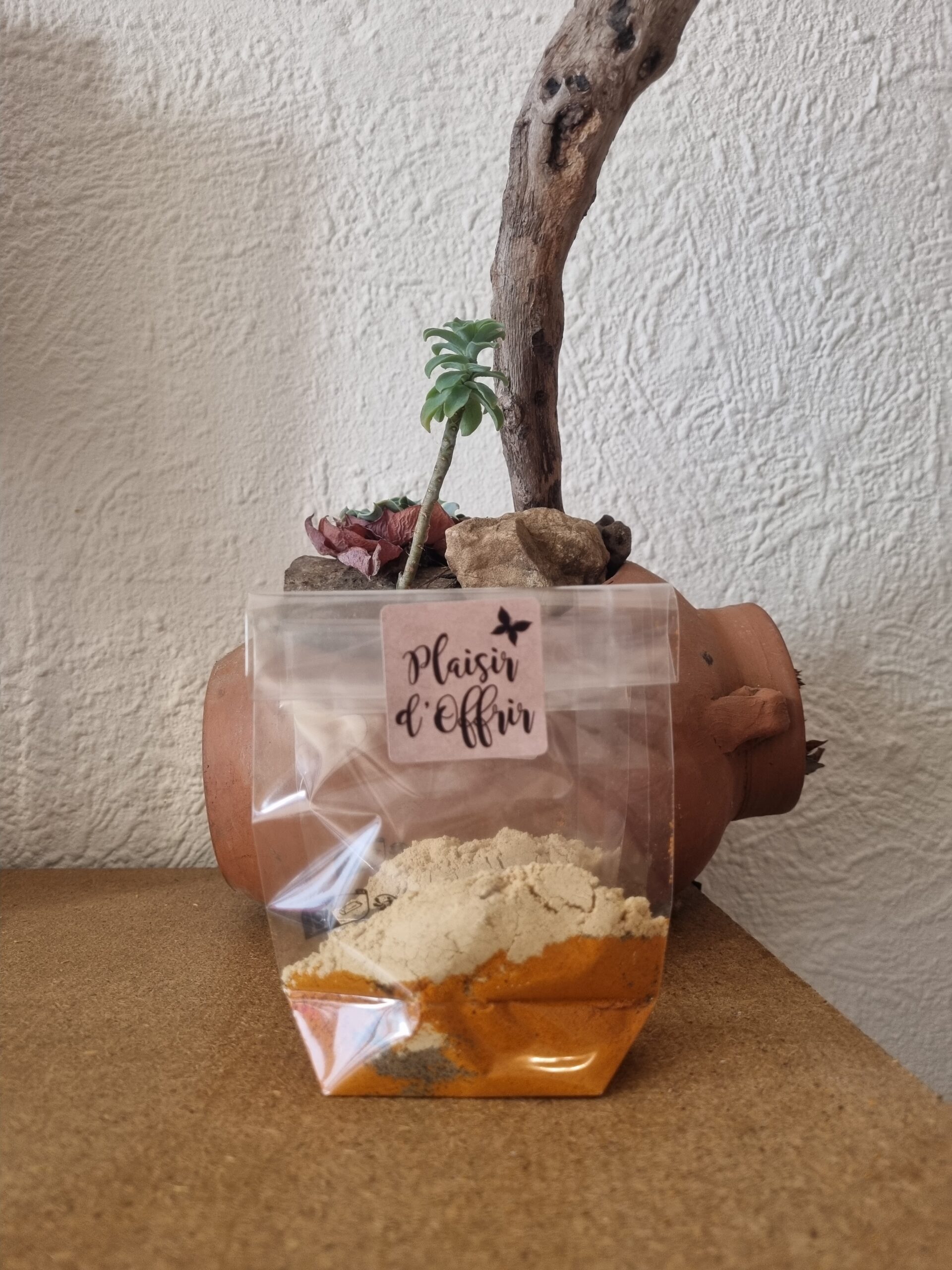 20250925_095456 sachet d'épices devant un pot de fleur