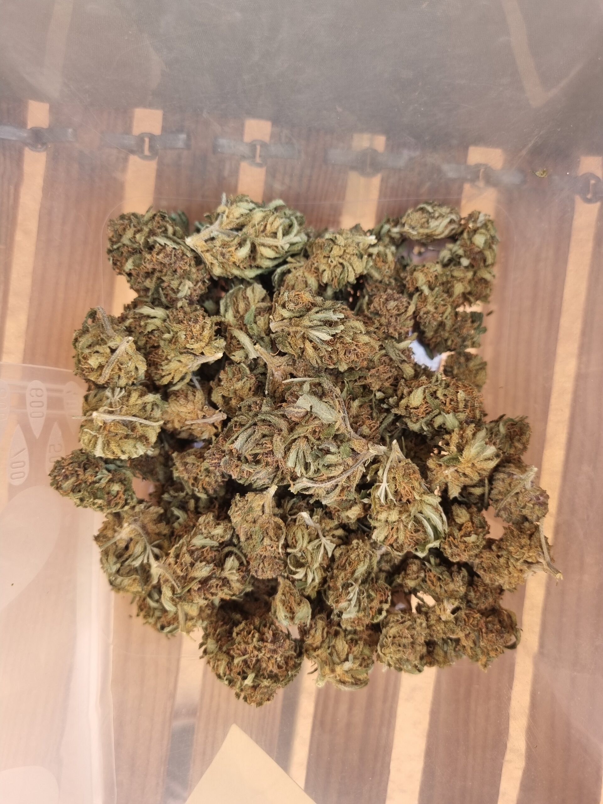 brown and white round fruits