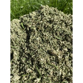 cbd séché