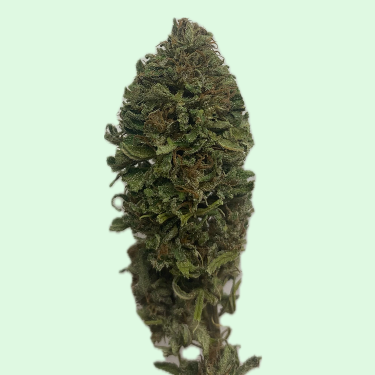 Fleurs de CBD - Toutes variétés (10g)